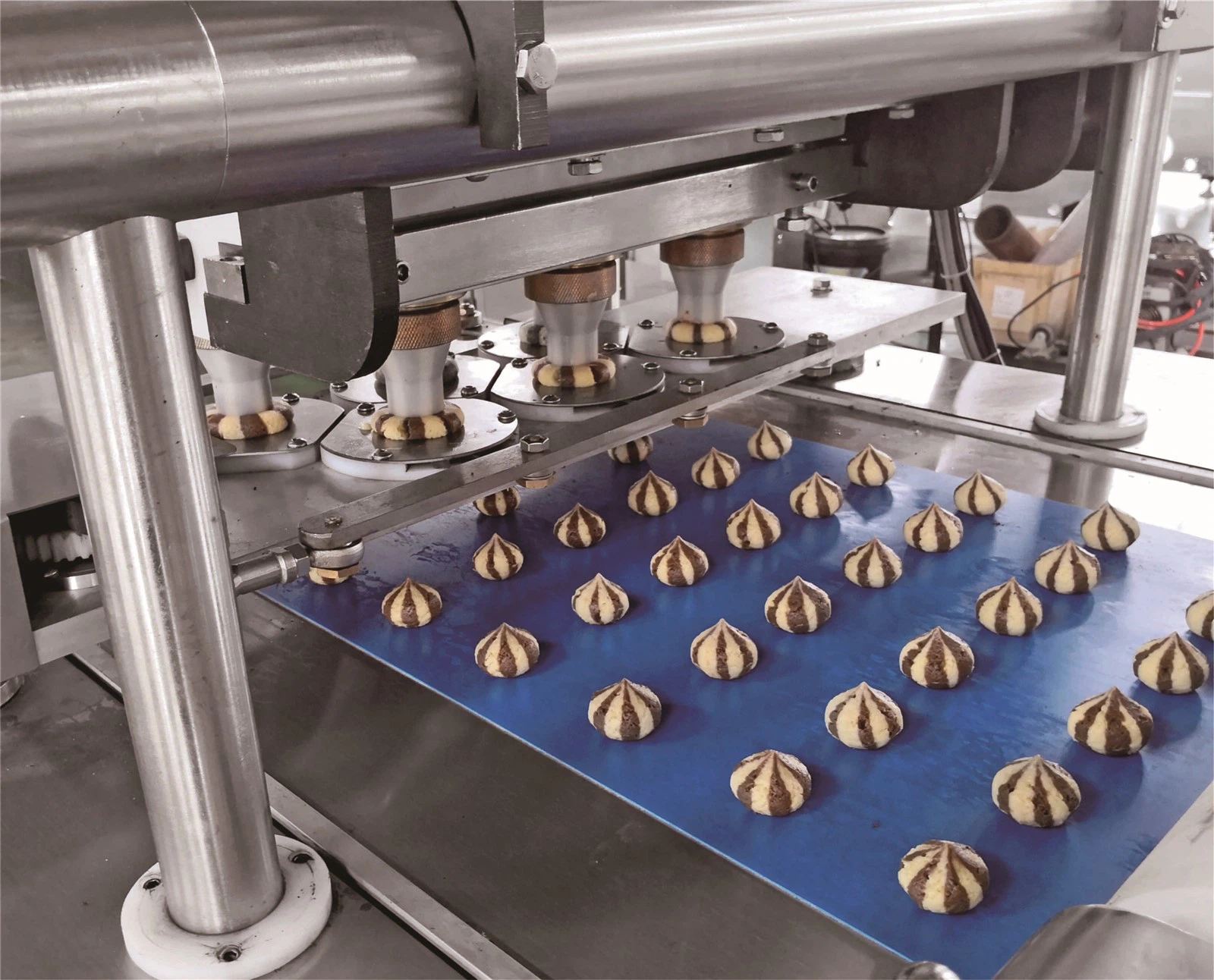 info-3661-2954 info-3661-2954